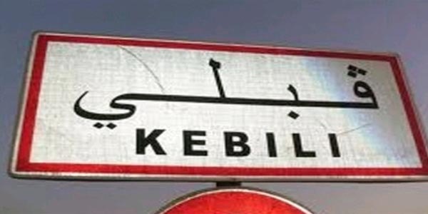 قبلي: اختيار بلدية بشلي الجرسين البليدات من بين 9 بلديات ستنتفع من مشروع مبادرة العمل المناخي الدامج والشامل