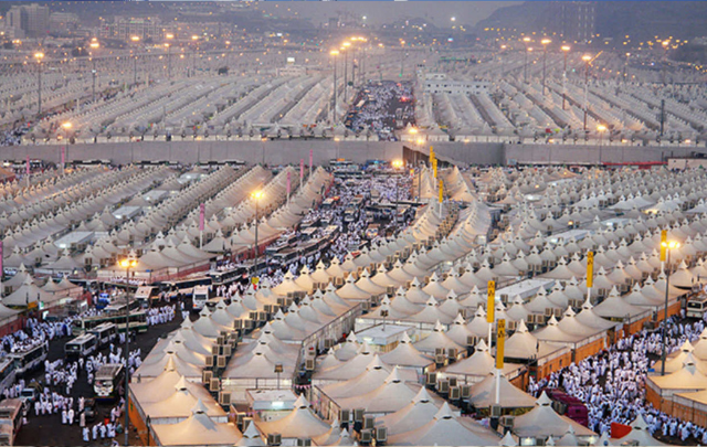 مدير الحج: 5 آلاف حاج قاموا بخلاص المعاليم إلى غاية أمس واليوم إتمام الإجراءات بالشبابيك الموحدة