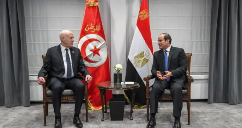 Gaza : La Tunisie soutient le ‘plan arabe’, selon l’Egypte
