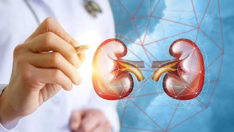 اليوم العالمي للكلى: جمعية طب الكلى تنصح بعدم الإفراط في تناول المسكنات