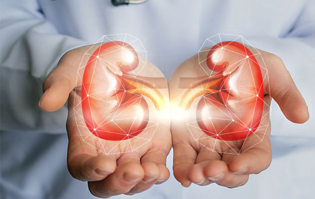 اليوم العالمي للكلى: جمعية طب الكلى تنصح بعدم الإفراط في تناول المسكنات 