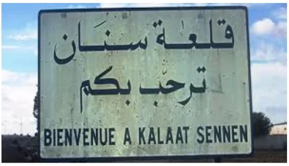  اختيار  بلدية قلعة سنان من ولاية الكاف  ضمن 15 بلدية للاستفادة  من مشروع يهدف الى تعزيز التكيف الحضري مع التغيرات المناخية 