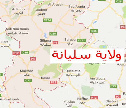 سليانة: عمل متواصل  لحل اشكاليات المناطق الصناعية واعادة تشغيل الوحدات المغلقة 