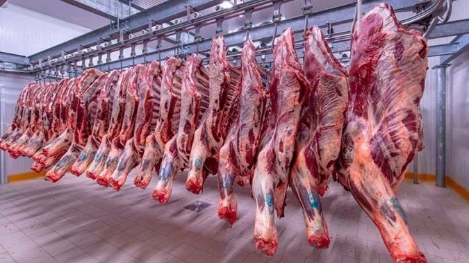 الرئيس المدير العام لشركة اللحوم: سيتم ضخ 80 طن من اللحوم الحمراء بداية من يوم غد