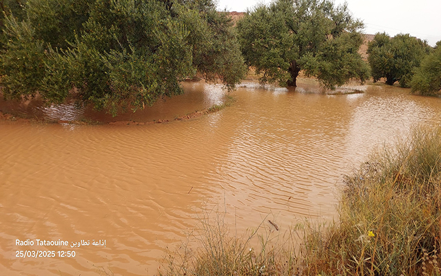 تسجيل كميات هامة من الامطار خلال 24 ساعة الماضية خاصة بالجنوب