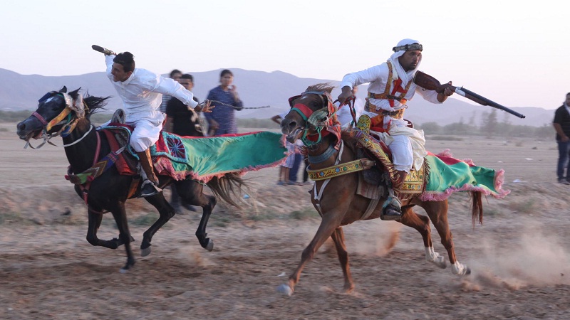 الدورة ال40 من المهرجان الدولي للجواد العربي الأصيل بالمكناسي من 2 إلى 4 افريل مع مشاركة شبابية هامة 