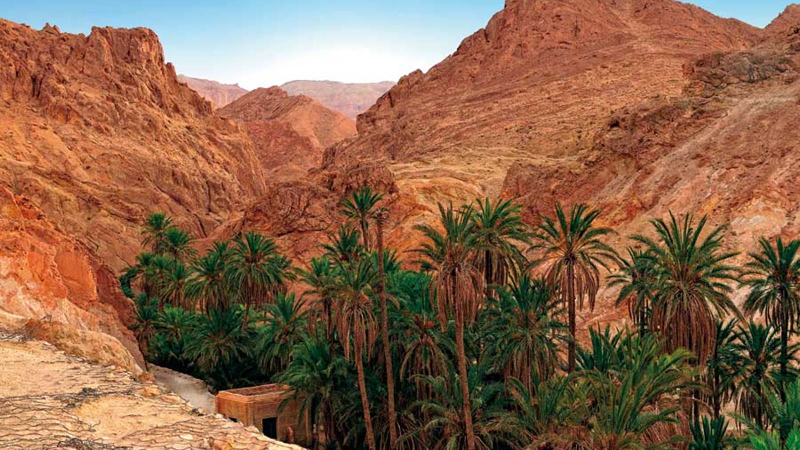  ضباب محلي و درجات  الحرارة تتراوح  بين 20 و 26 درجة 