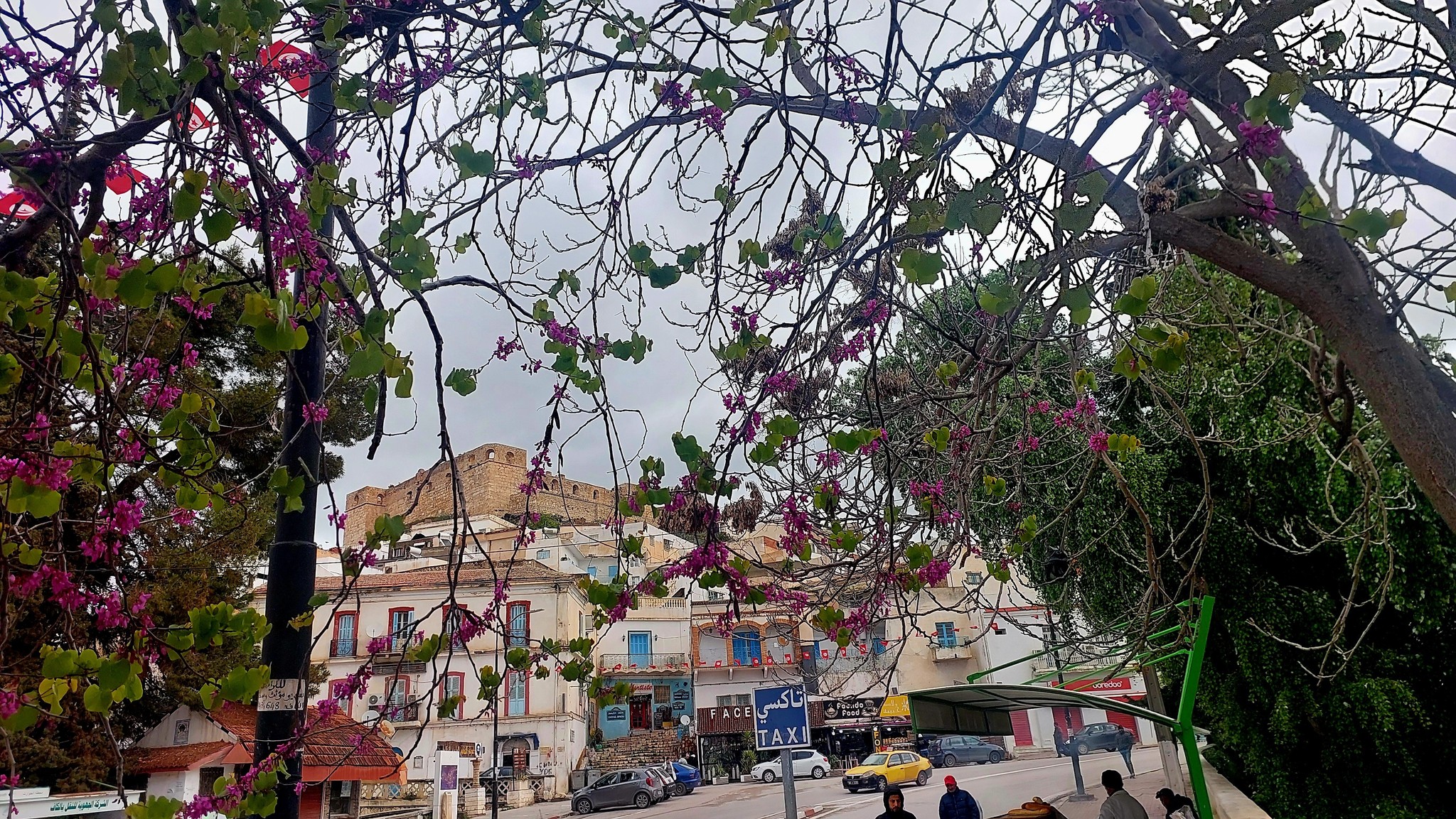بعض السحب على كامل البلاد