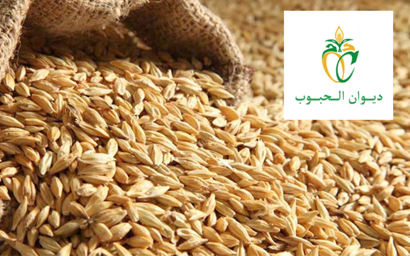 ديوان الحبوب يشرع منذ شهر جانفي الماضي في الاعداد لموسم تجميع صابة الحبوب والترفيع من طاقته التخزينية 