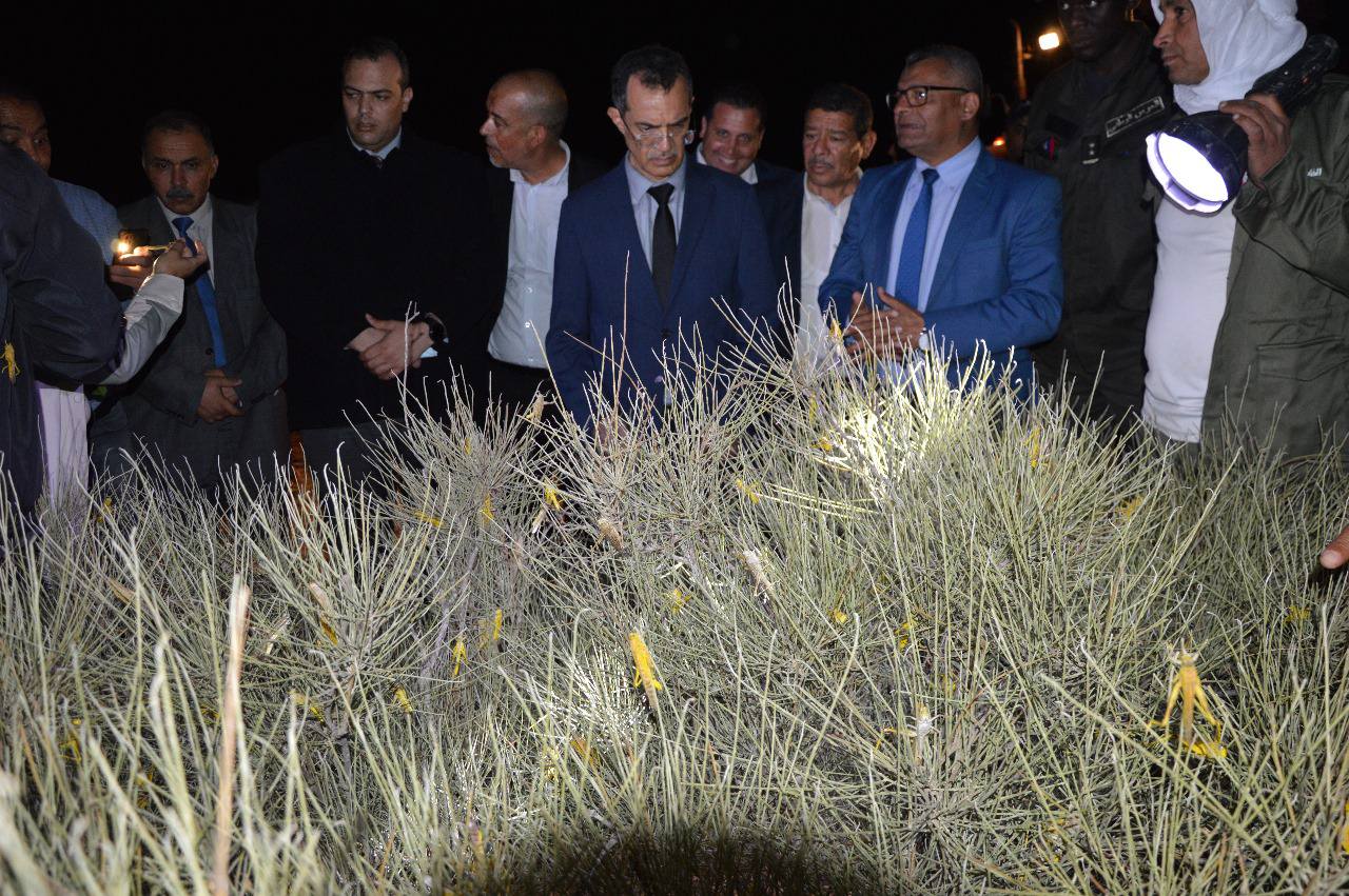 ولايات الجنوب التّونسي: وزير الفلاحة يؤدّي زيارة متابعة لسير حملة مكافحة الجراد الصّحراوي