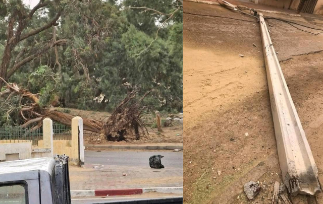 قبلي: سقوط عدد من الأشجار والأعمدة الكهربائية بعدد من الأحياء السكنية جراء الرياح الرملية القوية