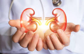 الجمعية التونسية لطب الكلى : اصابة تونسي واحد على 10 بمرض الكلى وأكثر من 14 ألف يخضعون الى تقنية تصفية الدم