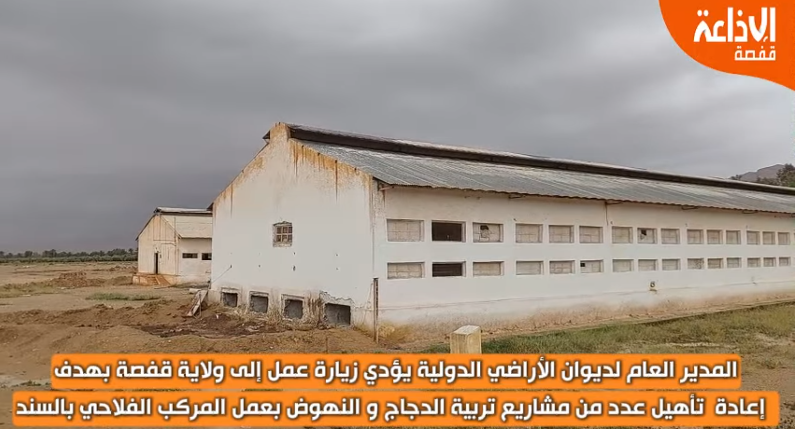 المدير العام لديوان الأراضي الدولية يؤدي زيارة عمل إلى ولاية قفصة بهدف إعادة تأهيل عدد من مشاريع تربية الدجاج و النهوض بعمل المركب الفلاحي بالسند