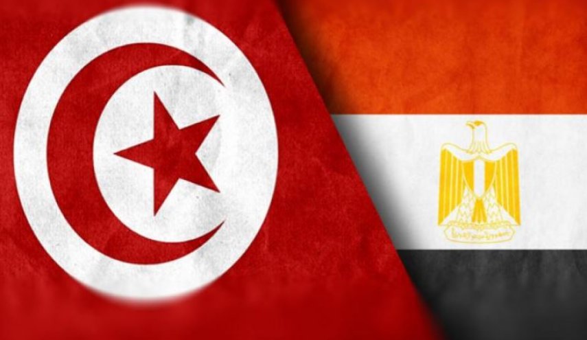 وزير الخارجية المصري يؤدي زيارة عمل لتونس يومي 18 و19 أفريل الجاري