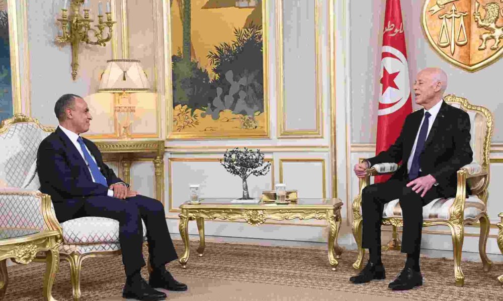 رئيس الجمهورية يلتقي وزير الخارجية المصري مبعوثا خاصا محملا برسالة خطية من الرئيس عبد الفتاح السيسي