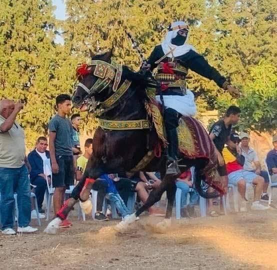 المهرجان الوطني للفروسيىة  في مرناق : معارض لمنتوجات الحرفيين و ورشات  في مجال فن ركوب الخيل 