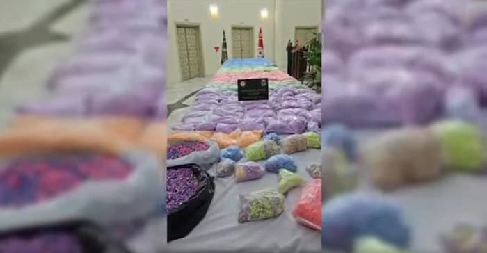 نابل: حجز أكثر من مليون قرص مخدر "إكستازي" بقيمة تتجاوز 40 مليار!!