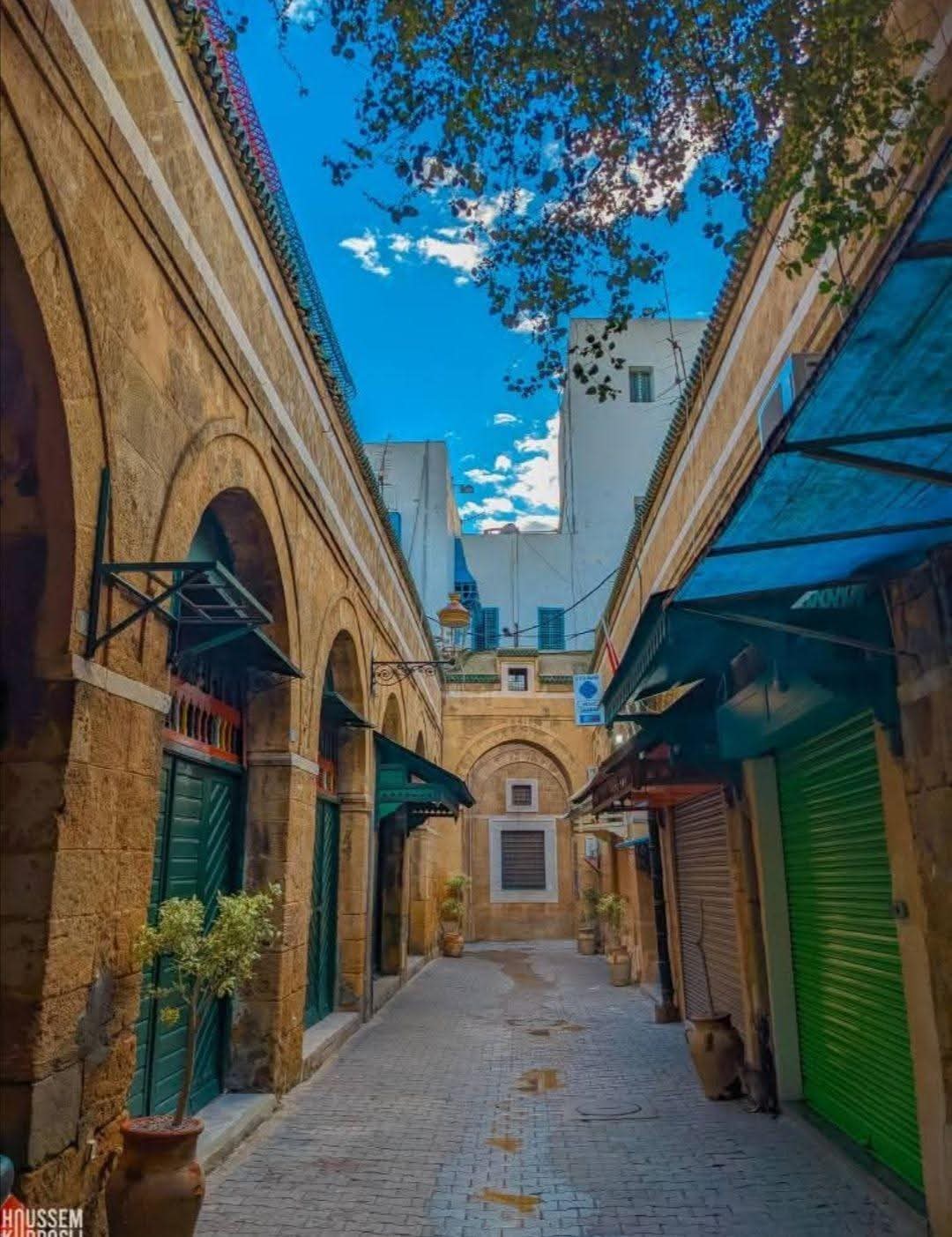   يتواصل الطقس مغيما جزئيا هذه الليلة على كامل البلاد.