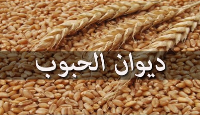 40% من الحاجيات الوطنية من الحبوب يقع تحويلها في ولاية سوسة.
