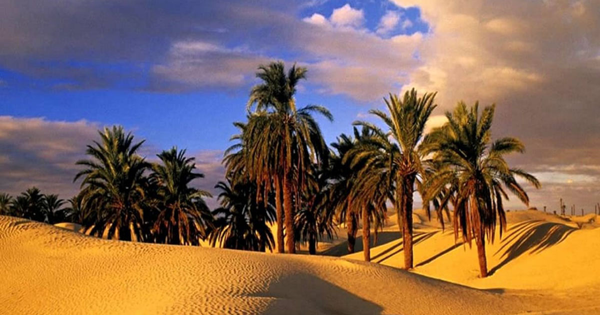 سحب على أغلب الجهات ليل الخميس