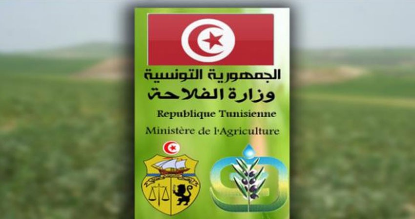 وزارة الفلاحة تصدر الأمر المتعلق بشروط تدخل صندوق تعويض الاضرار الناجمة عن الجوائح الطبيعية في خطوة لتسريع معالجة ملفات التعويض الجارية