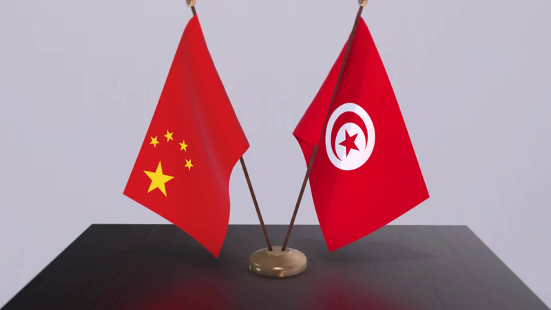 شركات صينية رائدة عالميا في قطاع مكونات السيارات ترغب في الاستثمار في تونس - وكالة النهوض بالاستثمار الخارجي