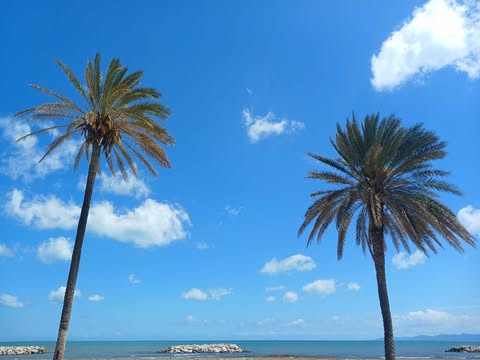 طقس مغيم مع بعض الامطار المتفرقة
