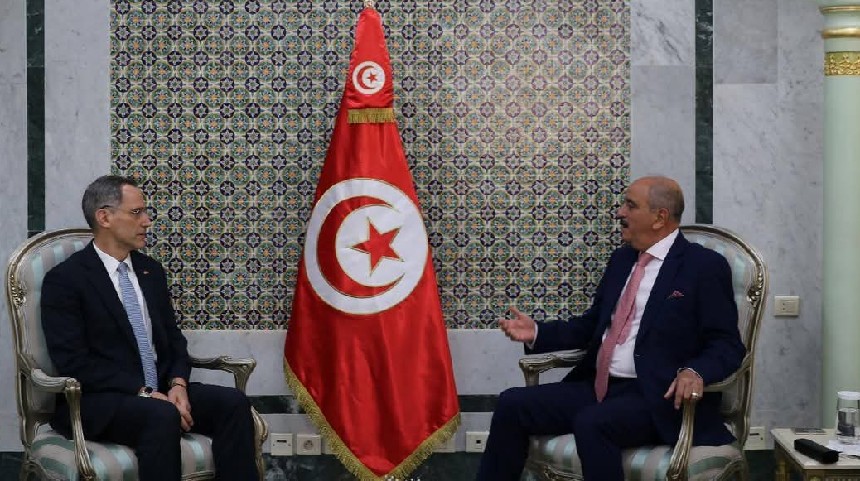 وزير الخارجية يلتقى السفير الامريكي