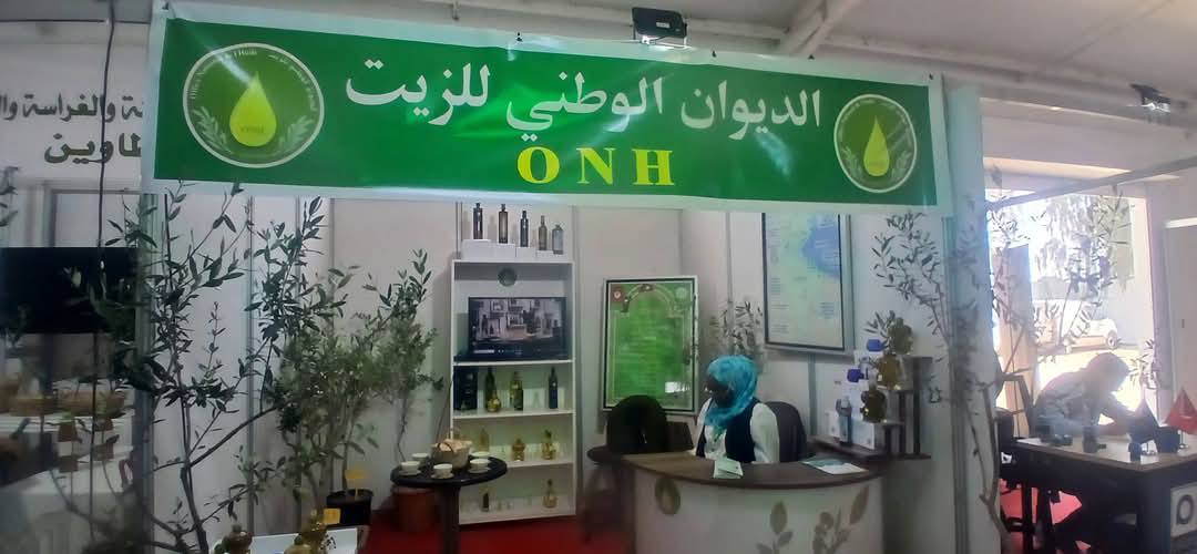 جرجيس :  ندوة حول تحسين إنتاج الزيتون  والزيت