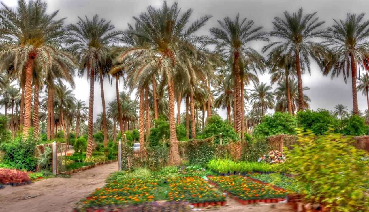على خطى رجيم معتوق.. نحو تحويل "المَحْدث" النائية إلى منطقة خضراء مأهولة بالسكان