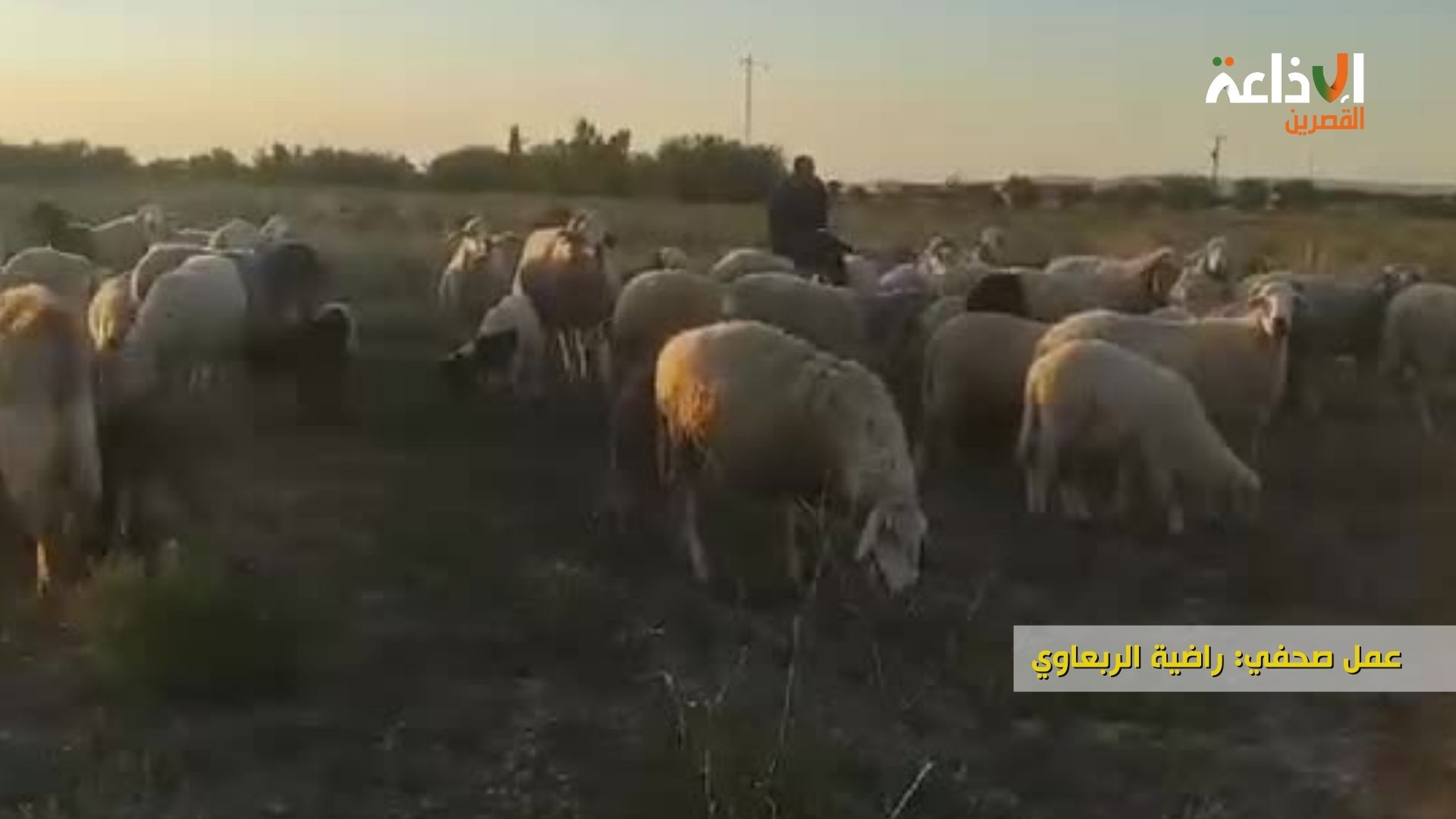الأمطار الأخيرة في منطقة الزعفران و استعدادات الفلاح مع اقتراب عيد الإضحى