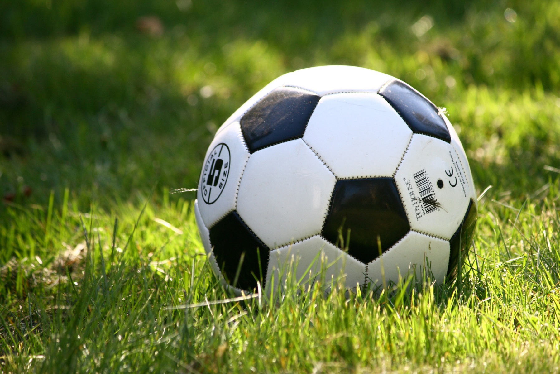 الرابطة المحترفة الاولى : برنامج الجولة 29