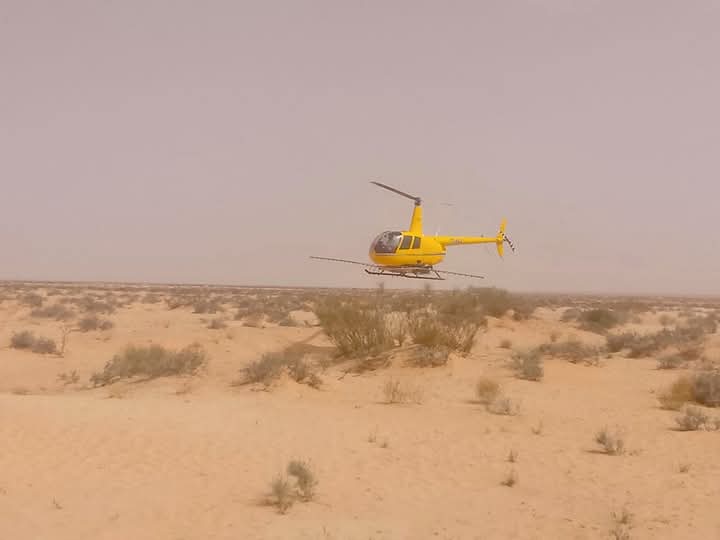 تطاوين: مداواة 2382 هك جوا وبرا منذ 12 مارس الماضي للقضاء على الجراد الصحراوي في المعتمديات الشرقية للولاية