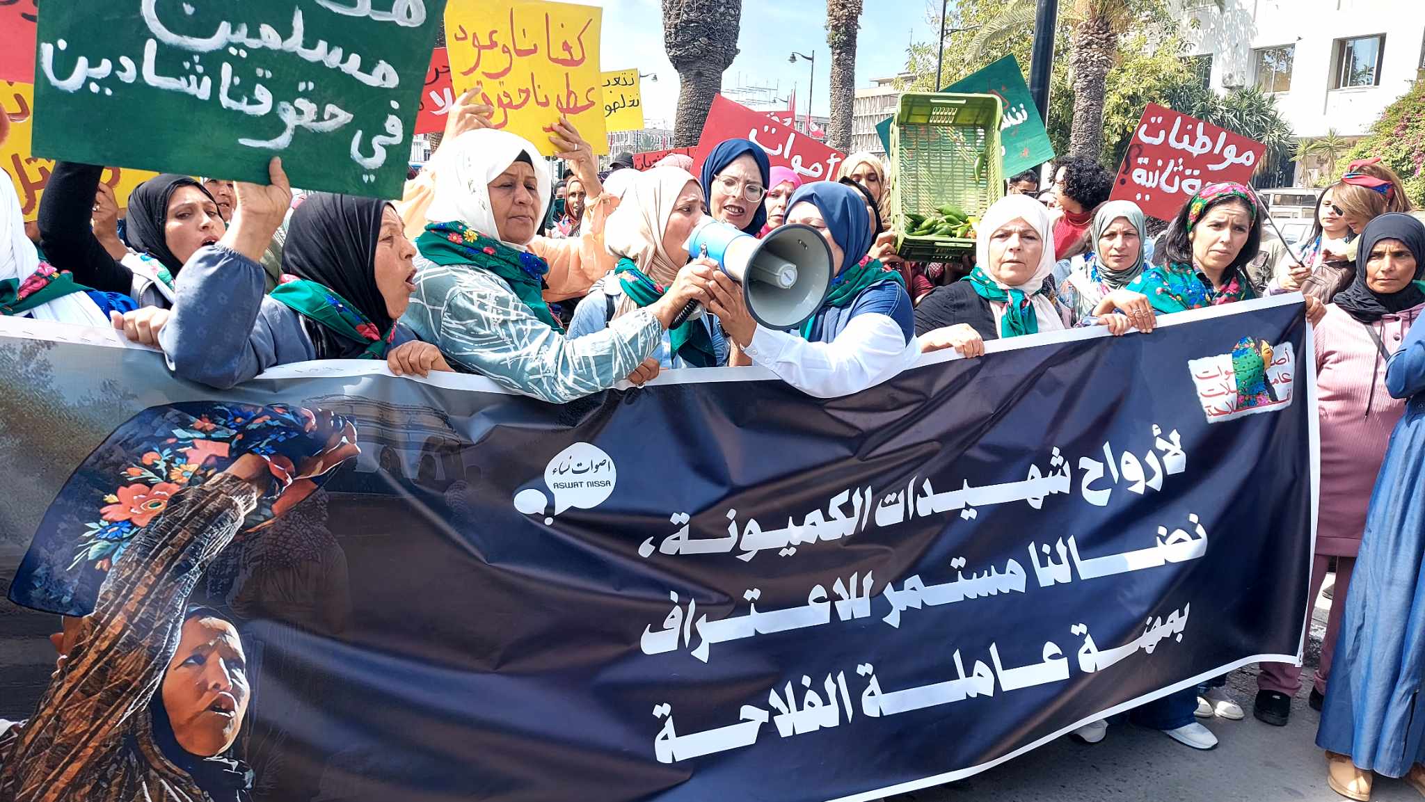 حراك أصوات عاملات الفلاحة: انطلاق المؤتمر الثاني ودعوات للاعتراف بمهنة عاملة في القطاع الفلاحي