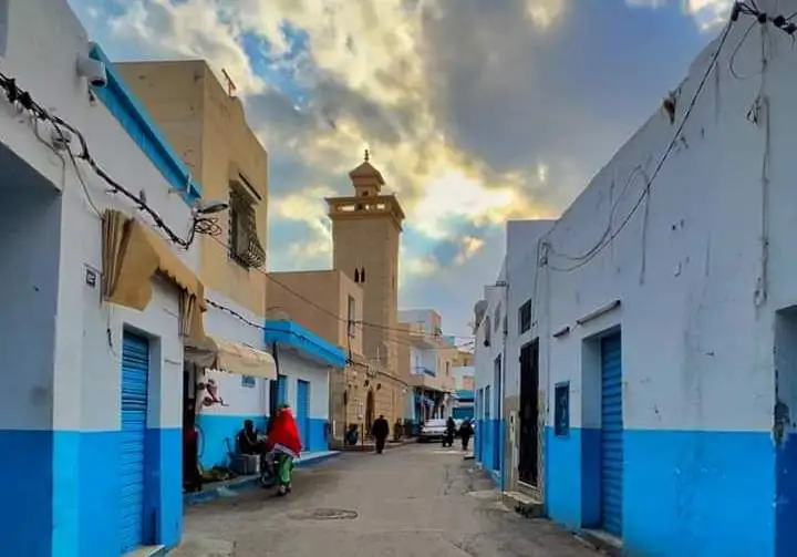 الدورة الخامسة لتظاهرة اليوم البيئي يوم الاحد المقبل بمدينة حمام سوسة تحت شعار 'بيئتنا مسؤوليتنا'