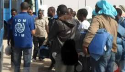 Migration : La Tunisie en appelle à une solidarité internationale pour faciliter les retours