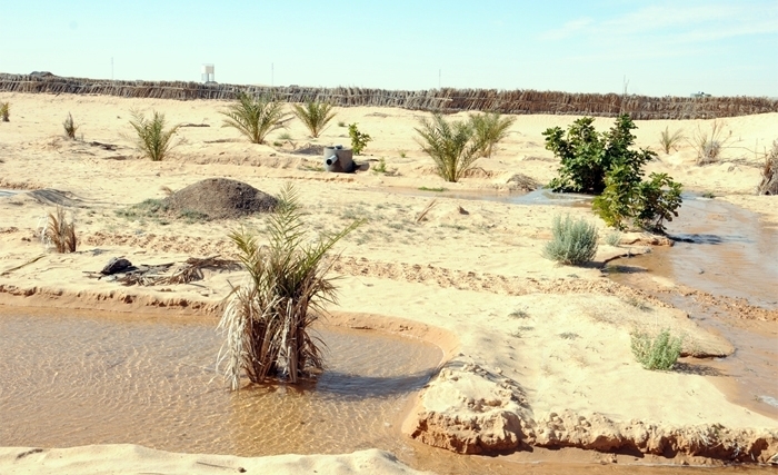 الرائد الرسمي: تغيير تسمية "ديوان تنمية رجيم معتوق’’ بــديوان رجيم معتوق لتنمية الجنوب والصحراء