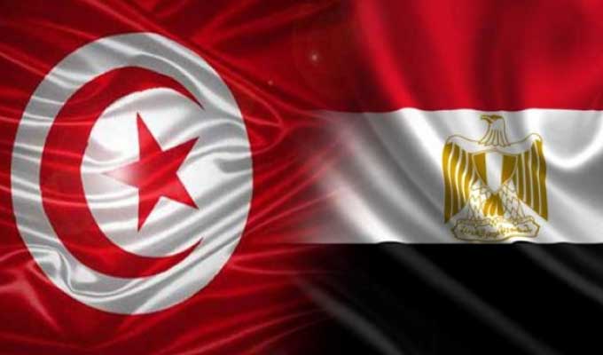 تعزيز التعاون التونسي المصري في مجال التعليم العالي والبحث العلمي محور اجتماع وزير التعليم العالي بوفد مصري