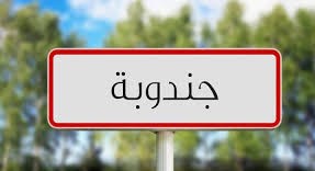 جندوبة : برمجة احداث منطقتين سقويتين بفرنانة وبلطة بوعوان بما من شانه خلق مشاريع فلاحية وفرص شغل . 