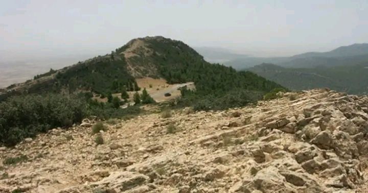 القصرين:  اكتشاف موقع أثري جديد بمنطقة جبل السلوم 