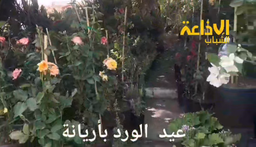 جولة في مهرجان عيد الورد و تقاليد تقطير النباتات العطرية