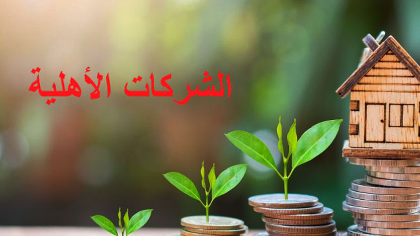 وزير أملاك الدولة يُعلن عن تقديم مقترح لتمكين الشركات الأهلية من التصرف في العقارات الفلاحية الدولية