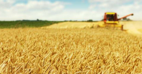 Agriculture : plus de 70 parlementaires demandent des actions exceptionnelles au gouvernement