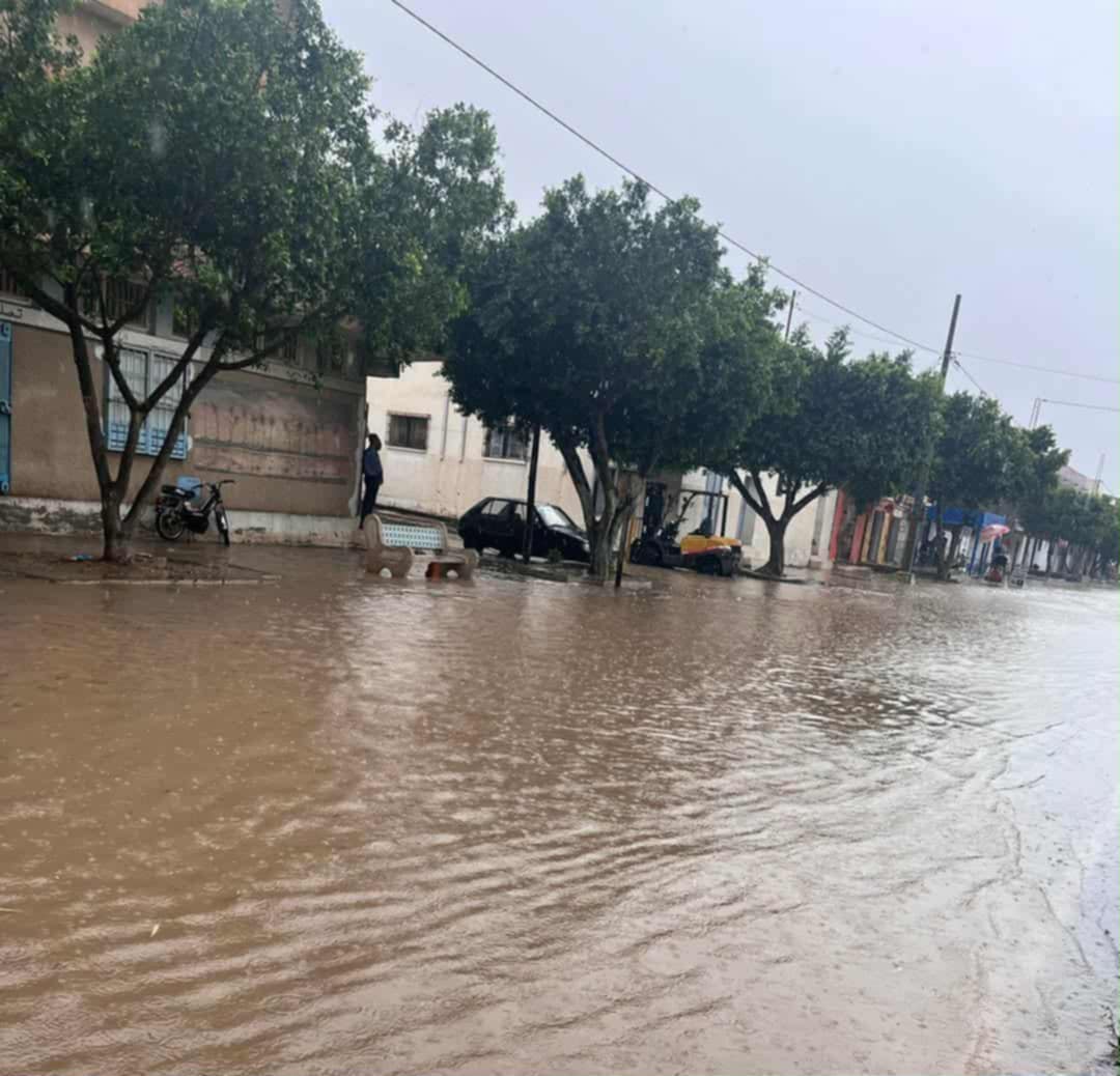 سيدي بوزيد : إستبشار بهطول الأمطار  و بتأثيرها الإيجابي على الزراعات الكبرى 