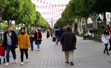  RGPH 2024 : La Tunisie change de visage démographique  