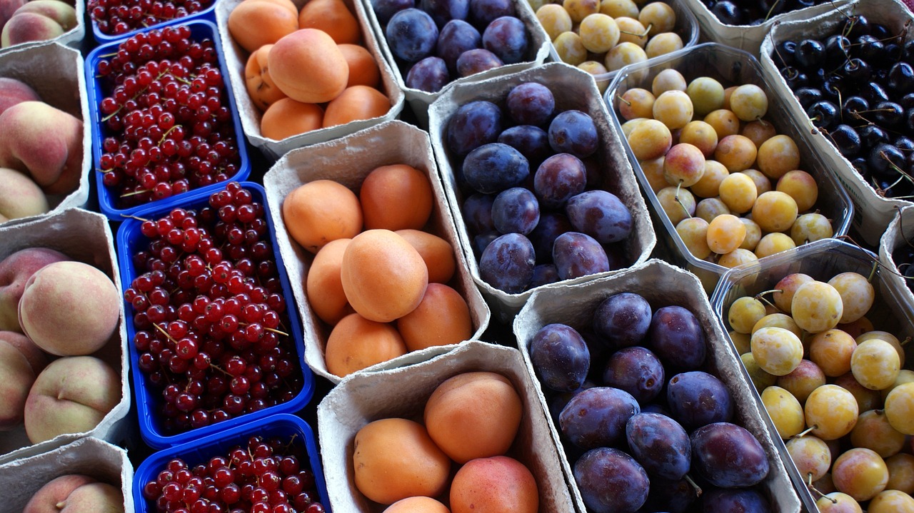Récolte des fruits à noyau en Tunisie : légère progression attendue pour la saison 2025
