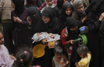 Levée partielle du blocus : Des vivres pour bébés distribués à Gaza
