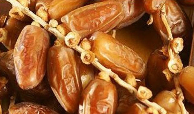  المرصد الوطني للفلاحة: عائدات صادرات التمور تتراجع بـ 4.3%