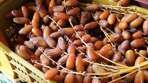 المرصد الوطني للفلاحة: عائدات صادرات التمور تتراجع بـ 4.3%