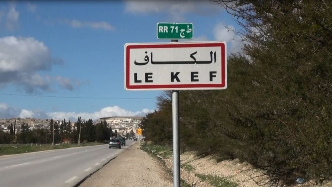 الكاف: فتح باب الترشح لتسويغ 7 مقاسم فلاحية دولية لفائدة فلاحين شبان بعدد من معتمديات الجهة